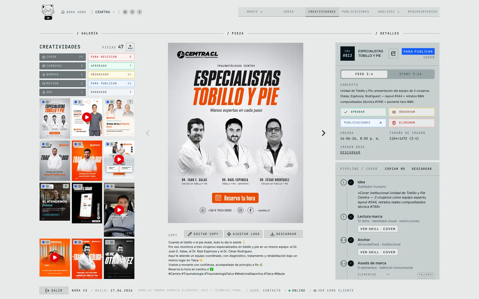Covers, motion, UGC y carruseles, listos